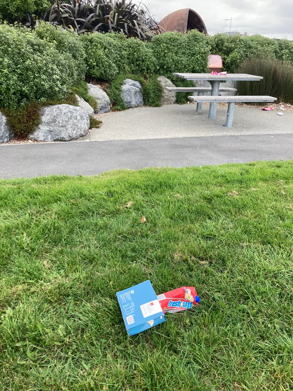 The photograph attached to this rubbish/recycling report