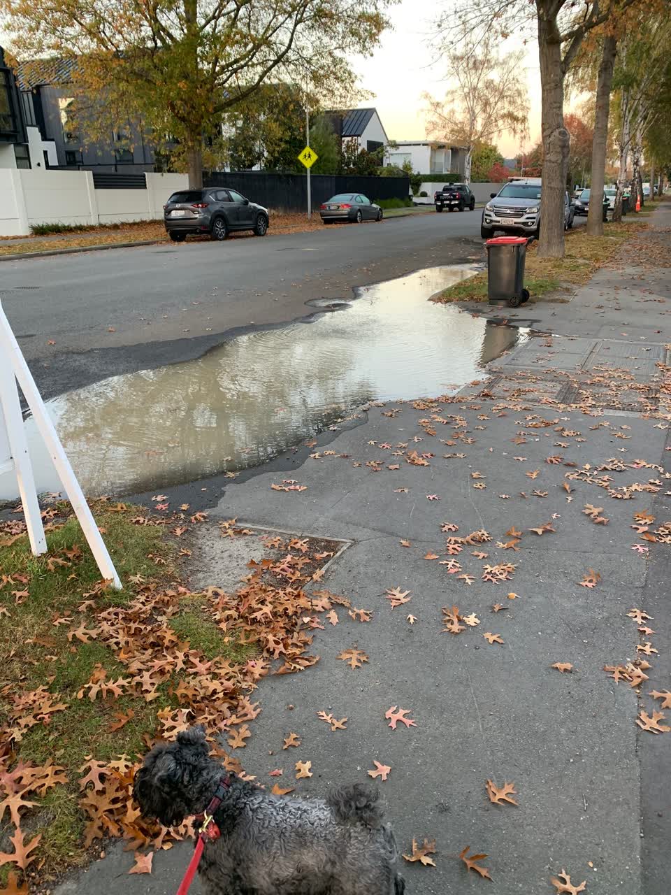 The photograph attached to this water leak report