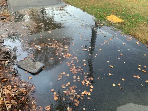 Water Leak, a report photo