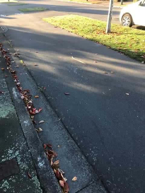 Roading/Streets, a report photo