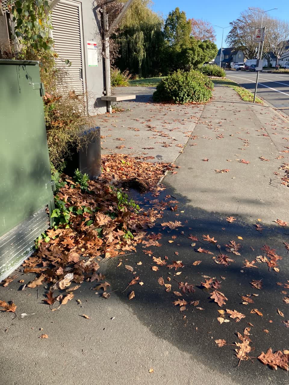 The photograph attached to this water leak report
