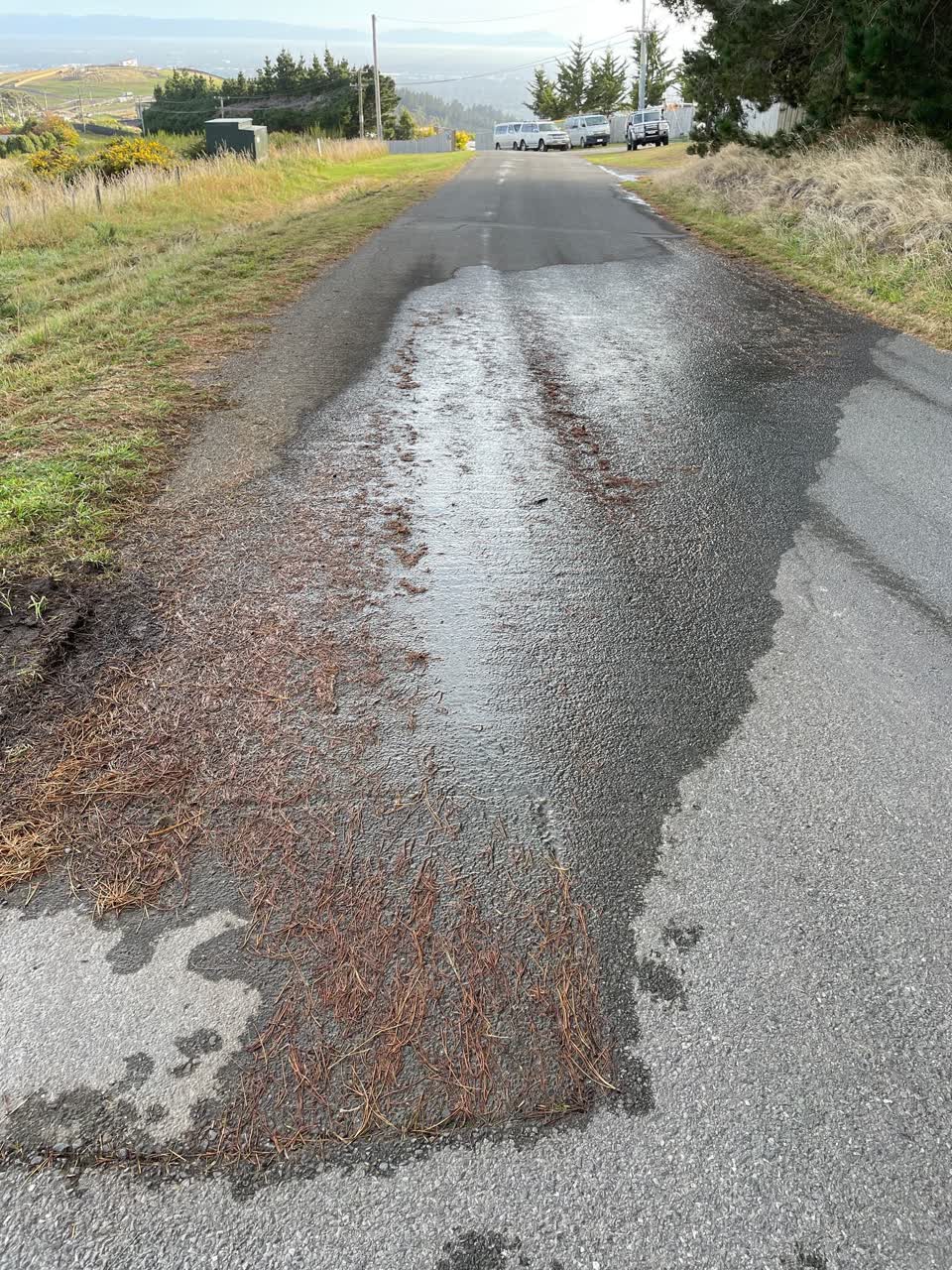 The photograph attached to this water leak report