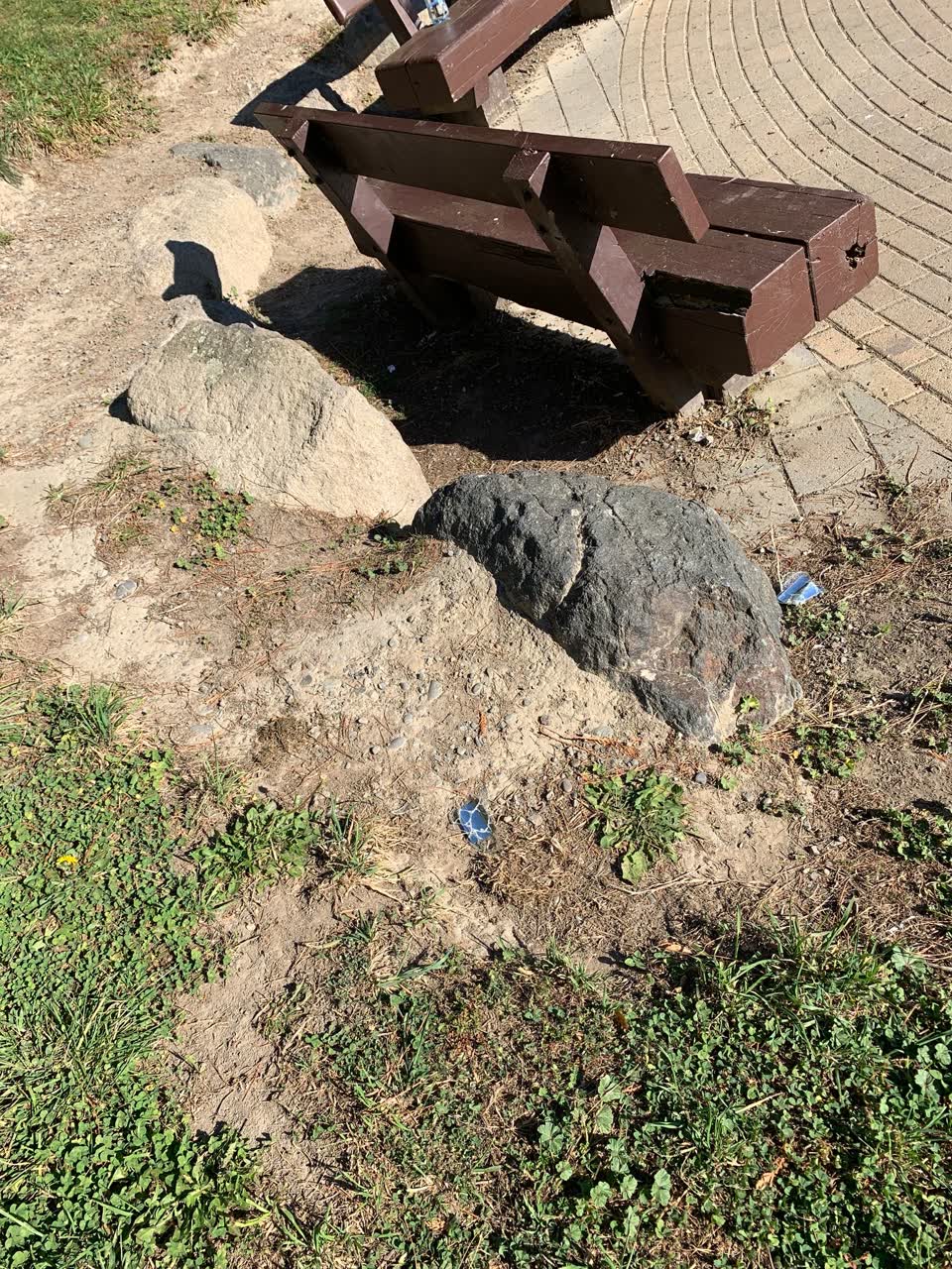 The photograph attached to this parks report