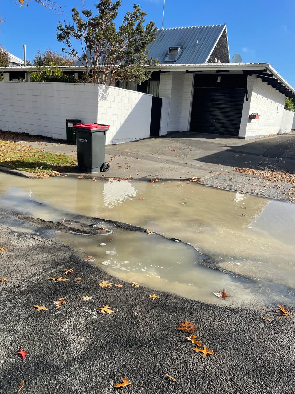 The photograph attached to this water leak report