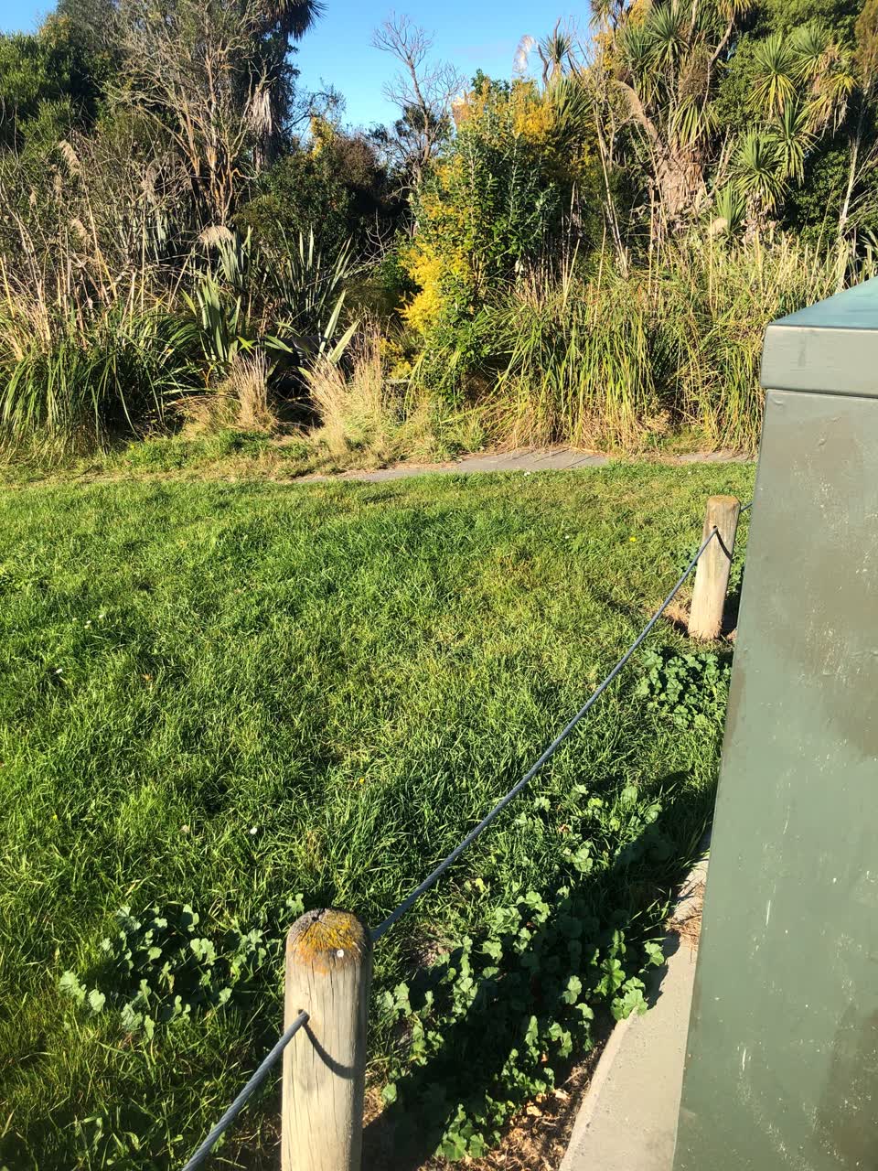 The photograph attached to this parks report