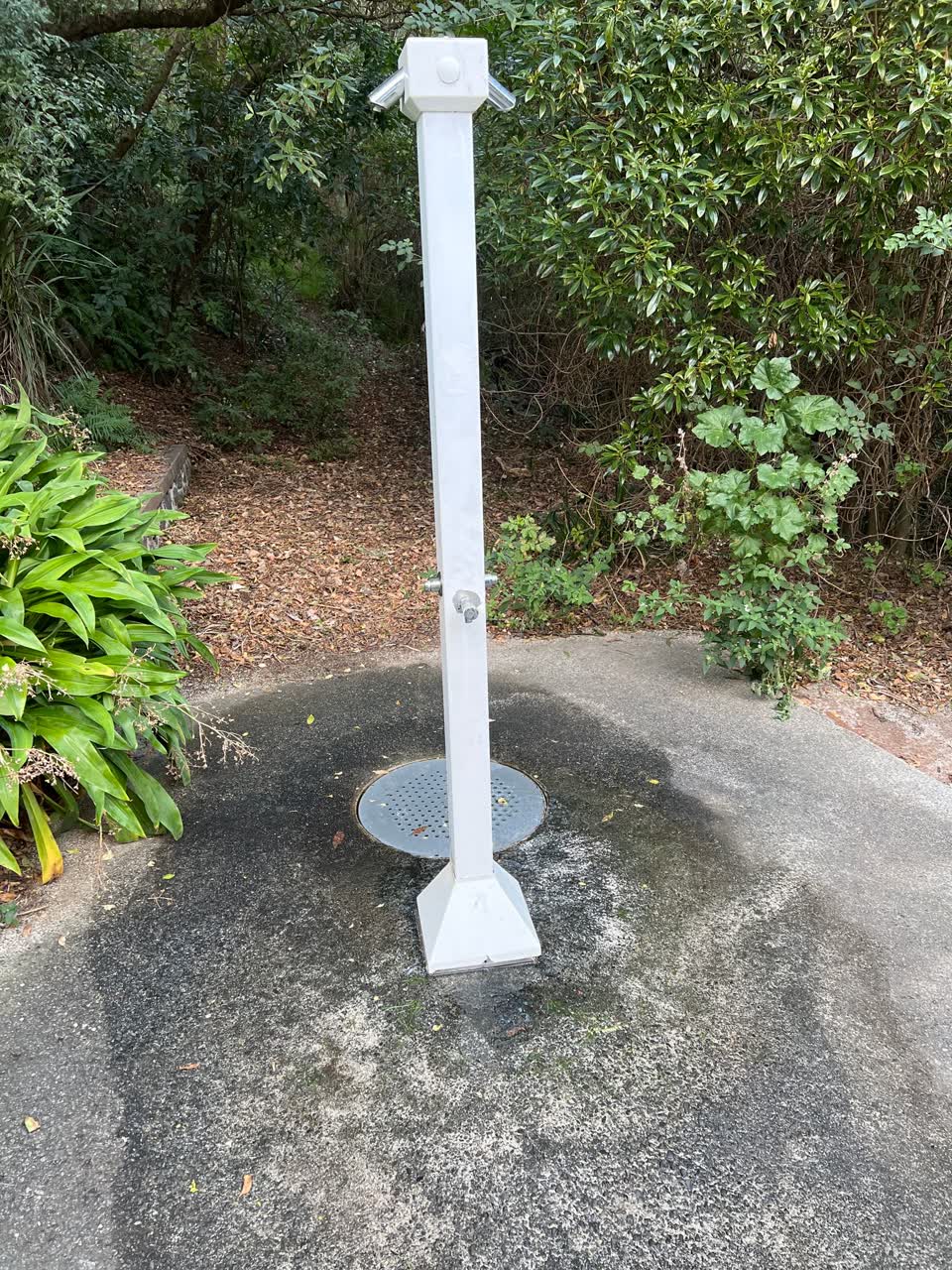 The photograph attached to this water leak report