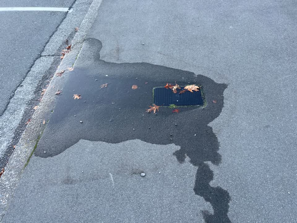 The photograph attached to this water leak report