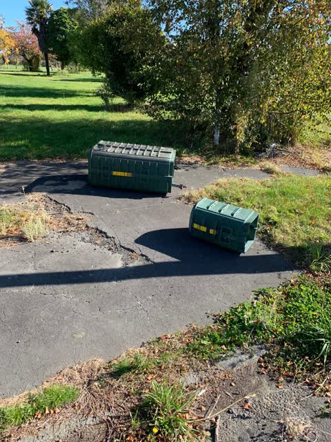 Parks, a report photo