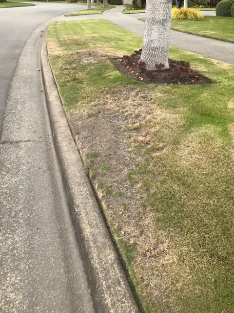 Roading/Streets, a report photo