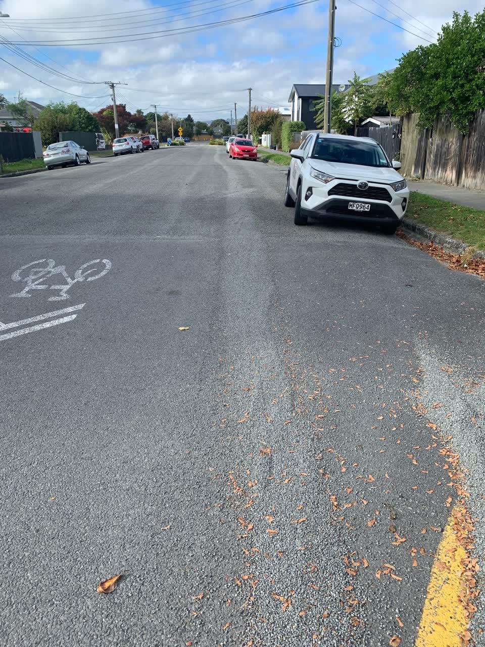 The photograph attached to this roading/streets report