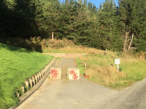 Graffiti — a report photo