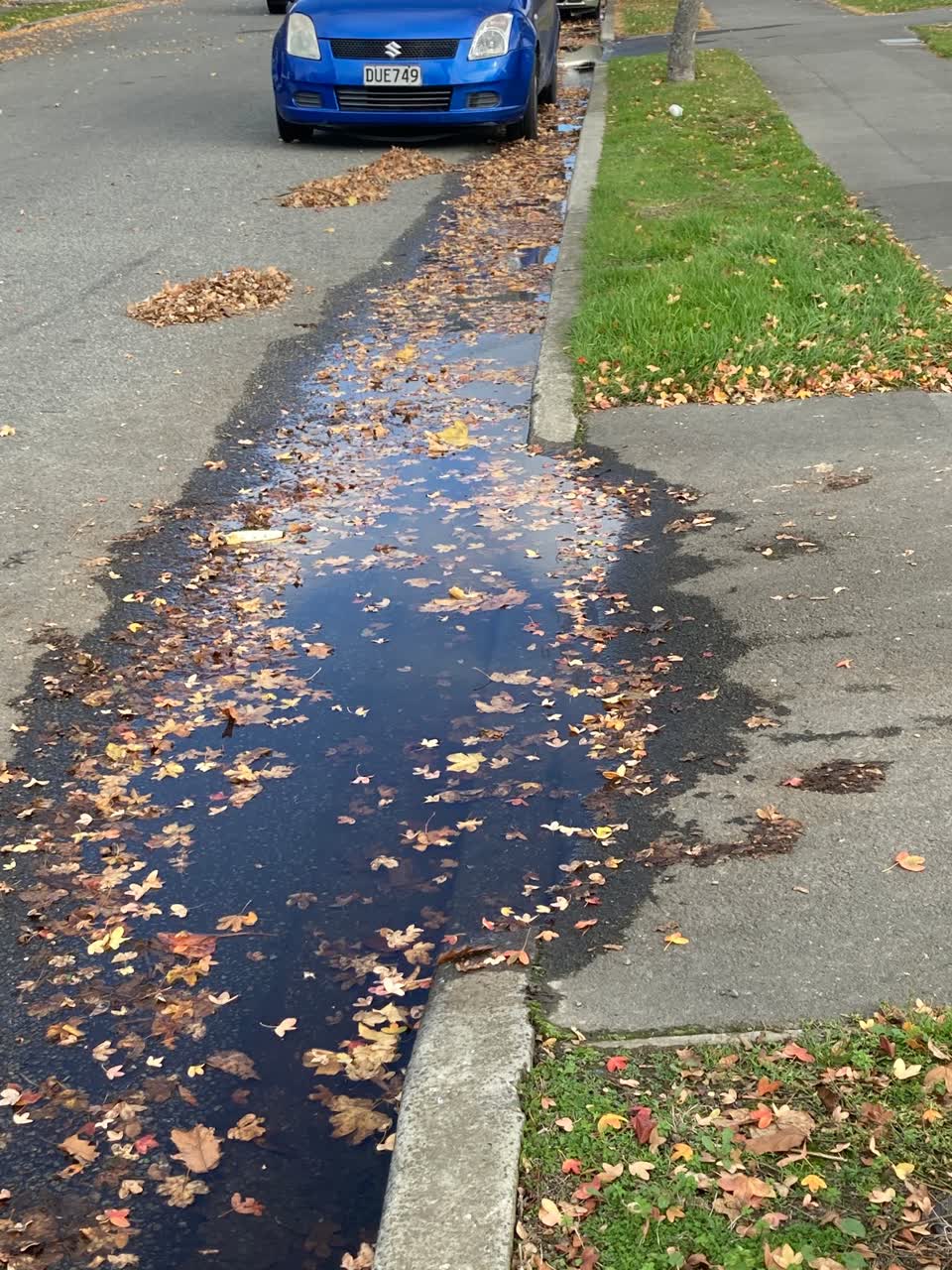 The photograph attached to this water leak report