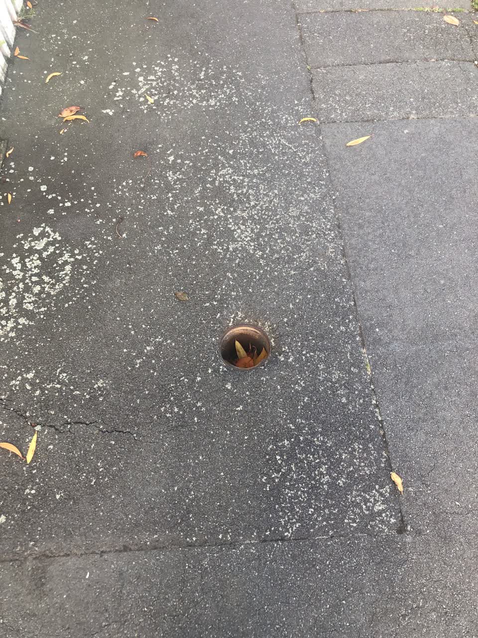 The photograph attached to this water supply report