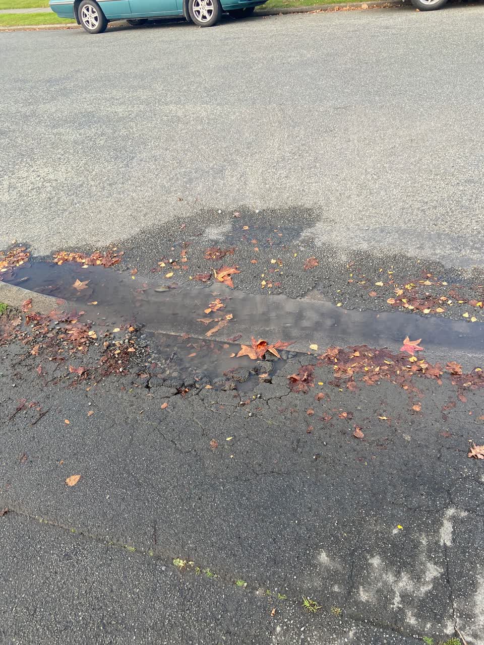 The photograph attached to this water leak report