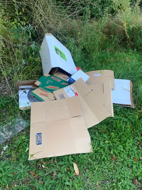 Rubbish/Recycling — a report photo