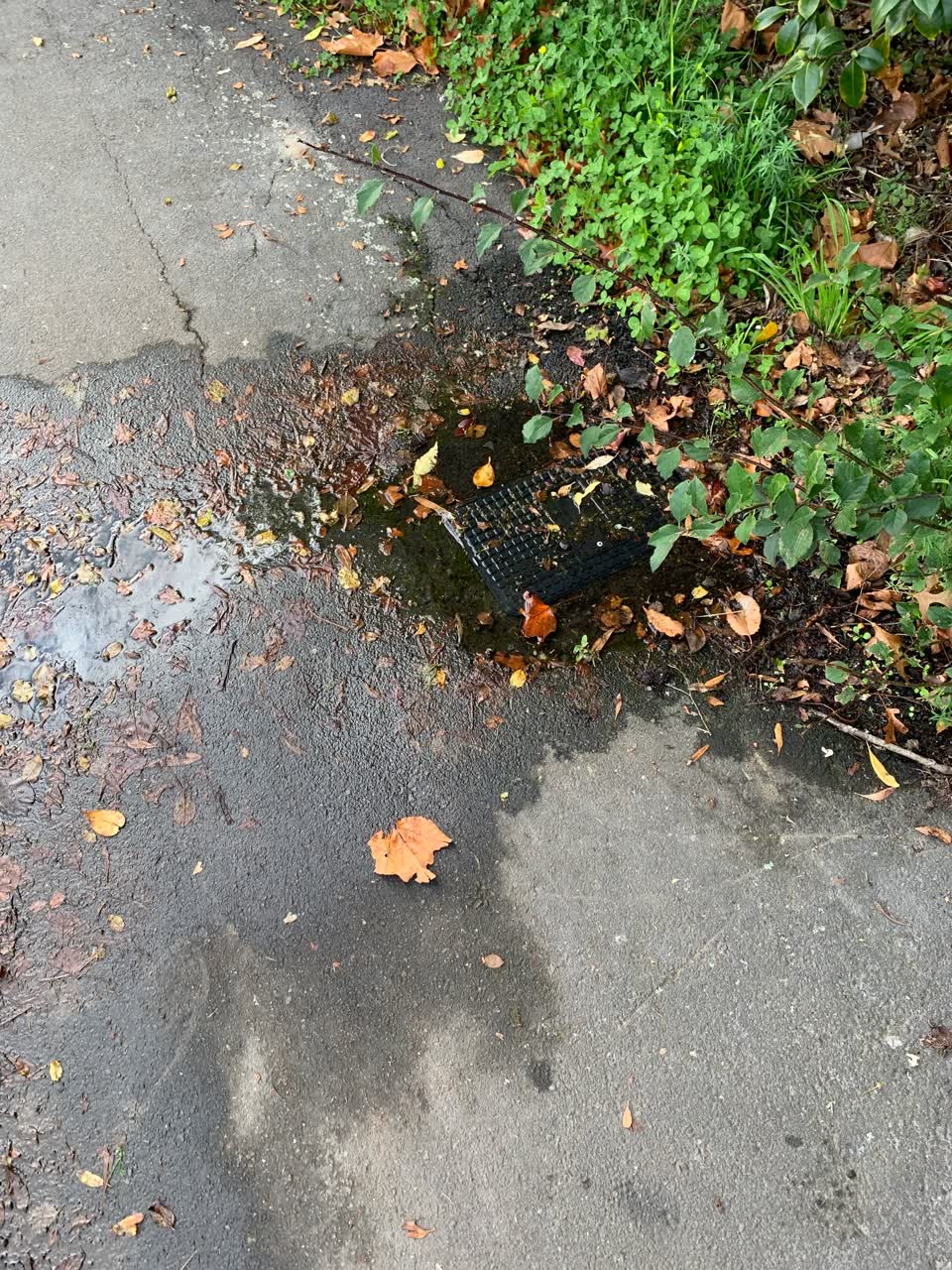 The photograph attached to this water leak report