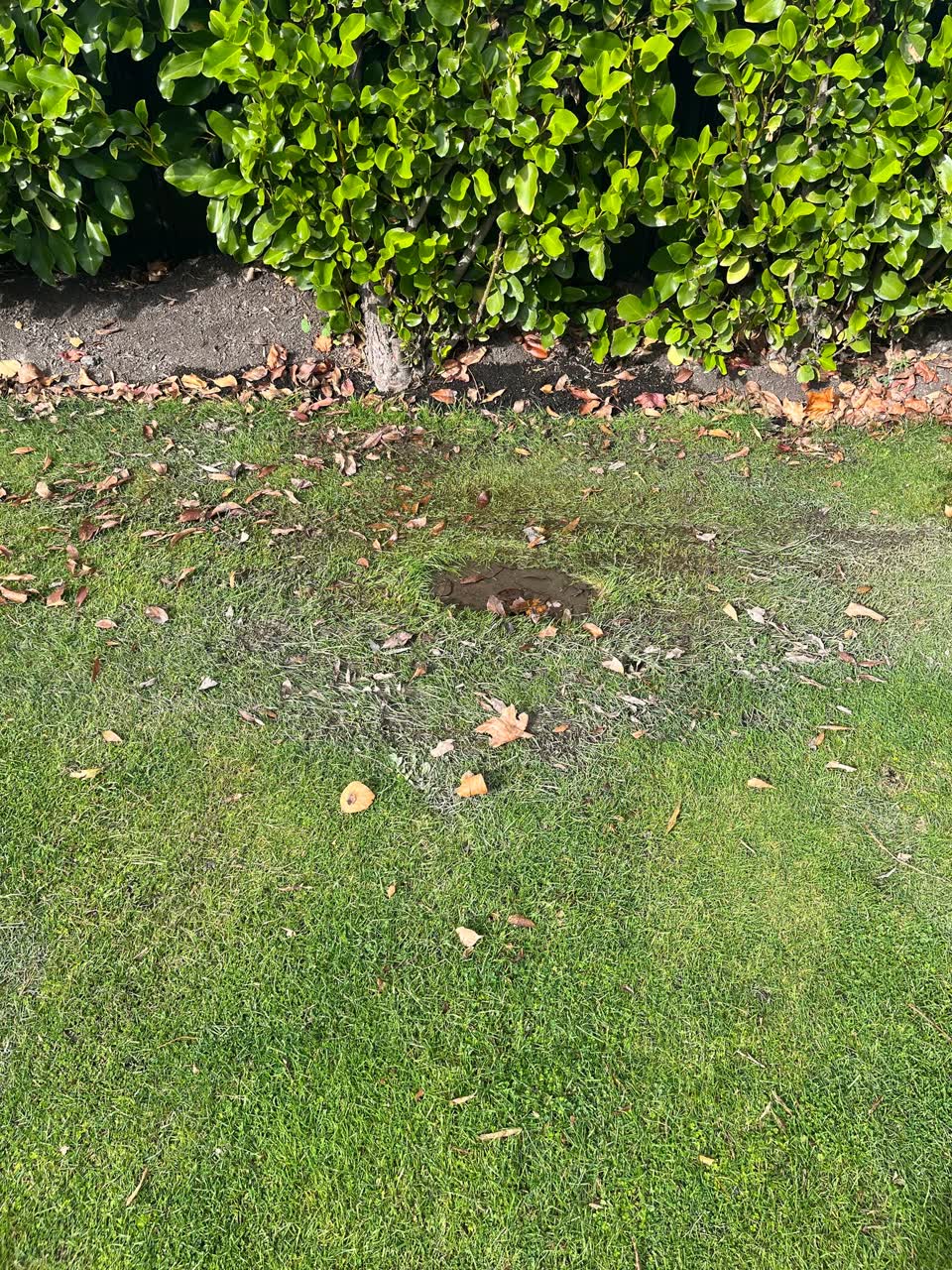 The photograph attached to this water leak report