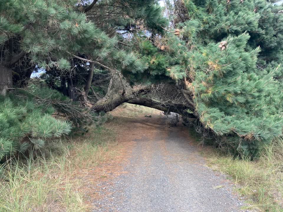 The photograph attached to this parks report