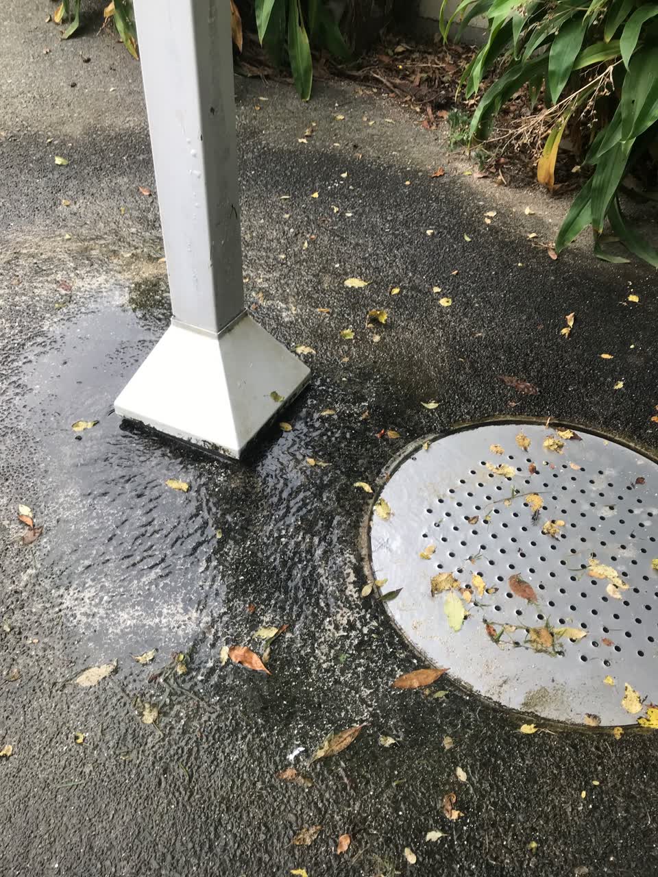 The photograph attached to this water leak report