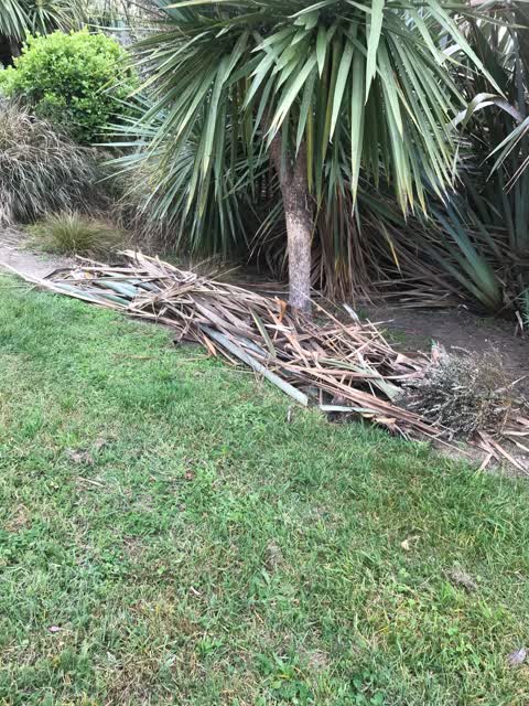 Rubbish/Recycling, a report photo