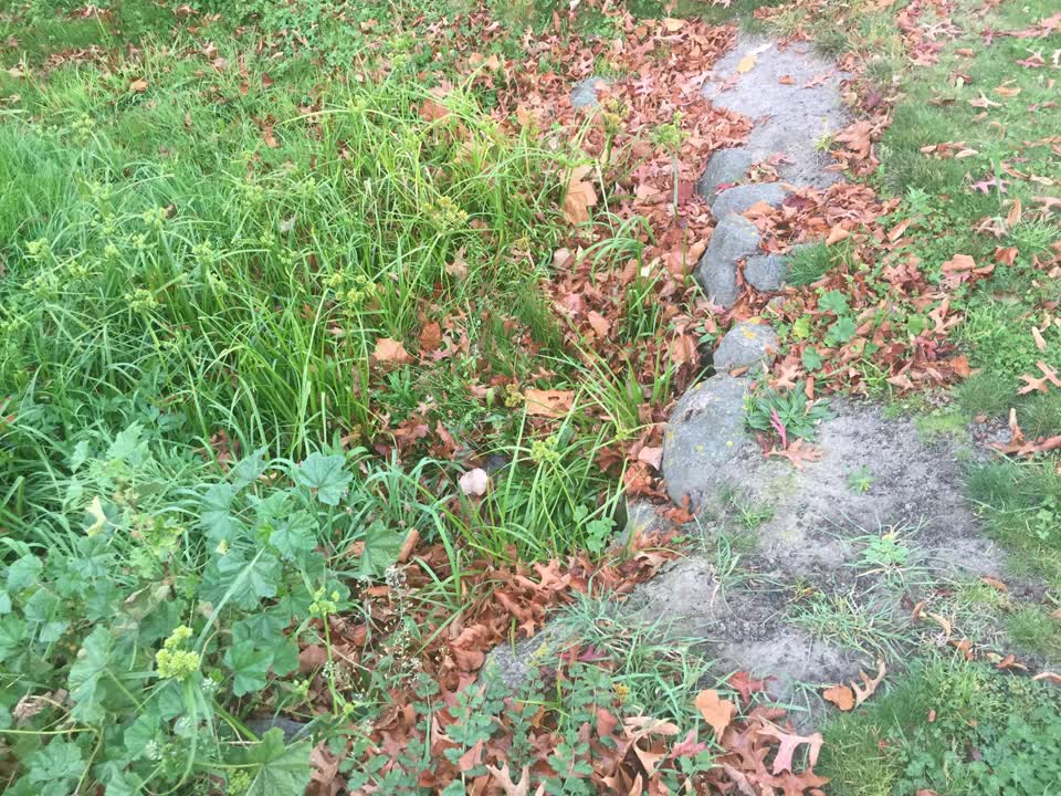 The photograph attached to this wastewater/stormwater report