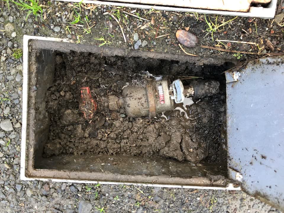 The photograph attached to this water leak report