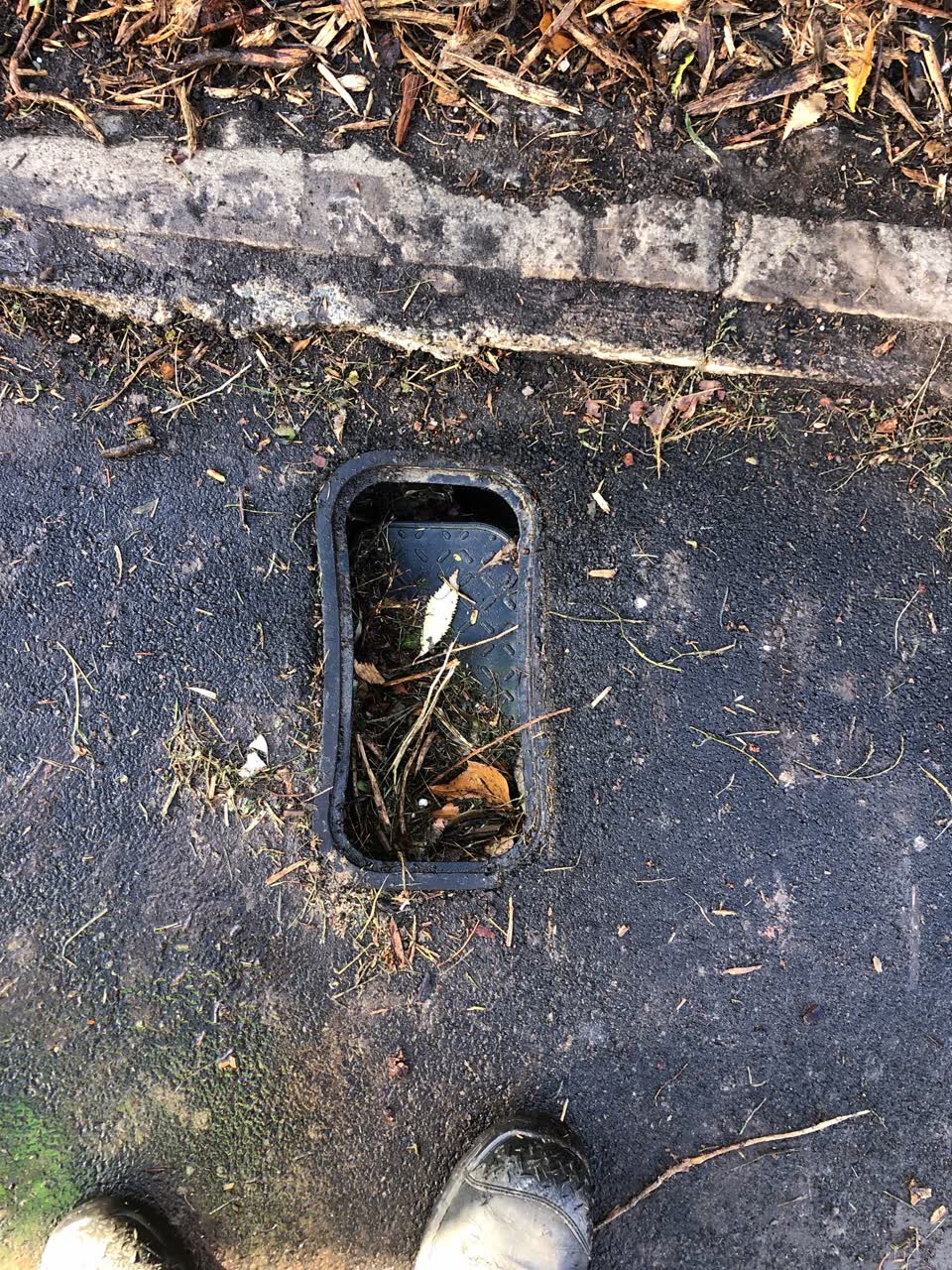 The photograph attached to this water supply report