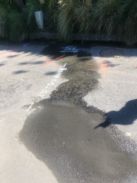 Water Leak, a report photo