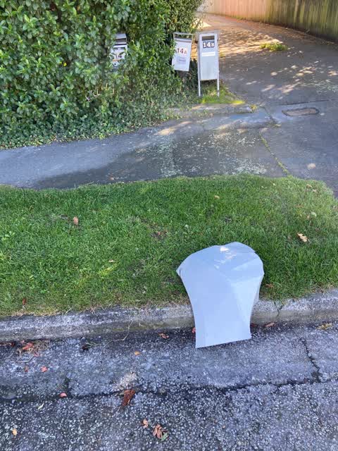 Rubbish/Recycling, a report photo