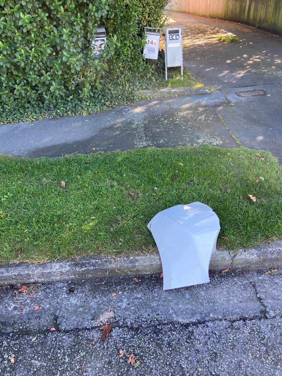 The photograph attached to this rubbish/recycling report