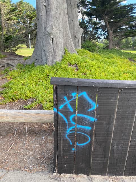 Graffiti, a report photo