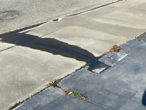 Water Leak, a report photo