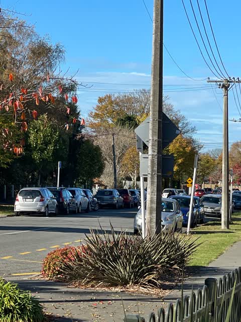 Roading/Streets, a report photo