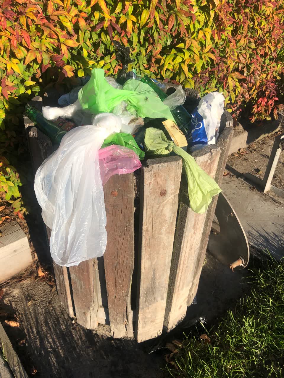 The photograph attached to this parks report