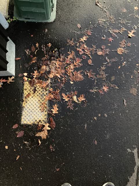 Water Leak, a report photo