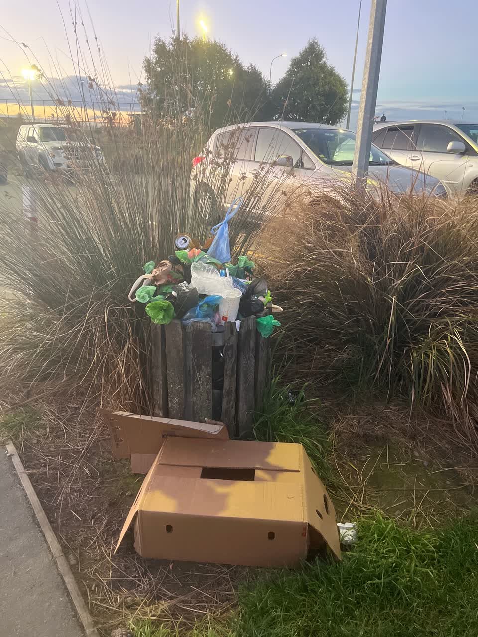 The photograph attached to this rubbish/recycling report