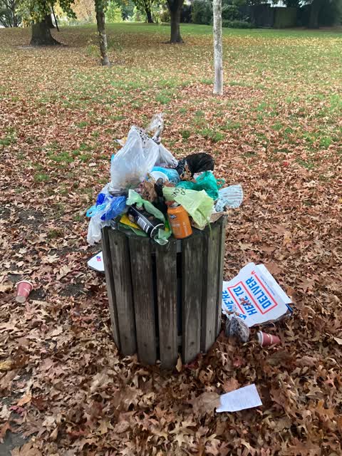 Rubbish/Recycling — a report photo