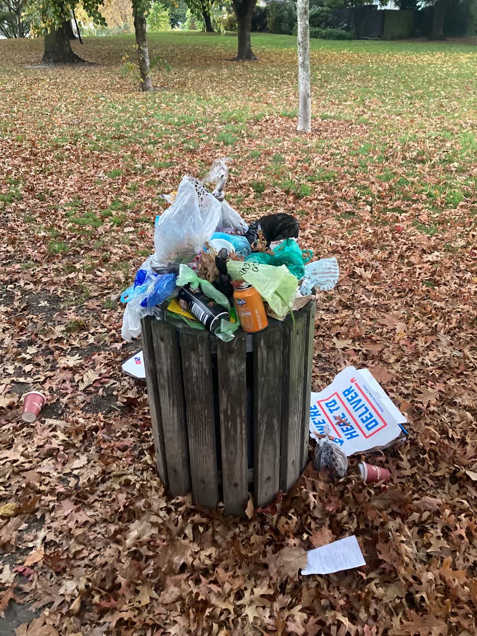 The photograph attached to this rubbish/recycling report