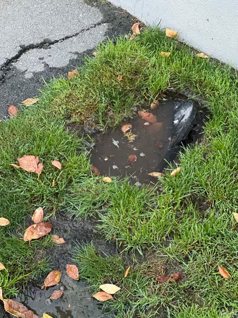 Water Leak, a report photo