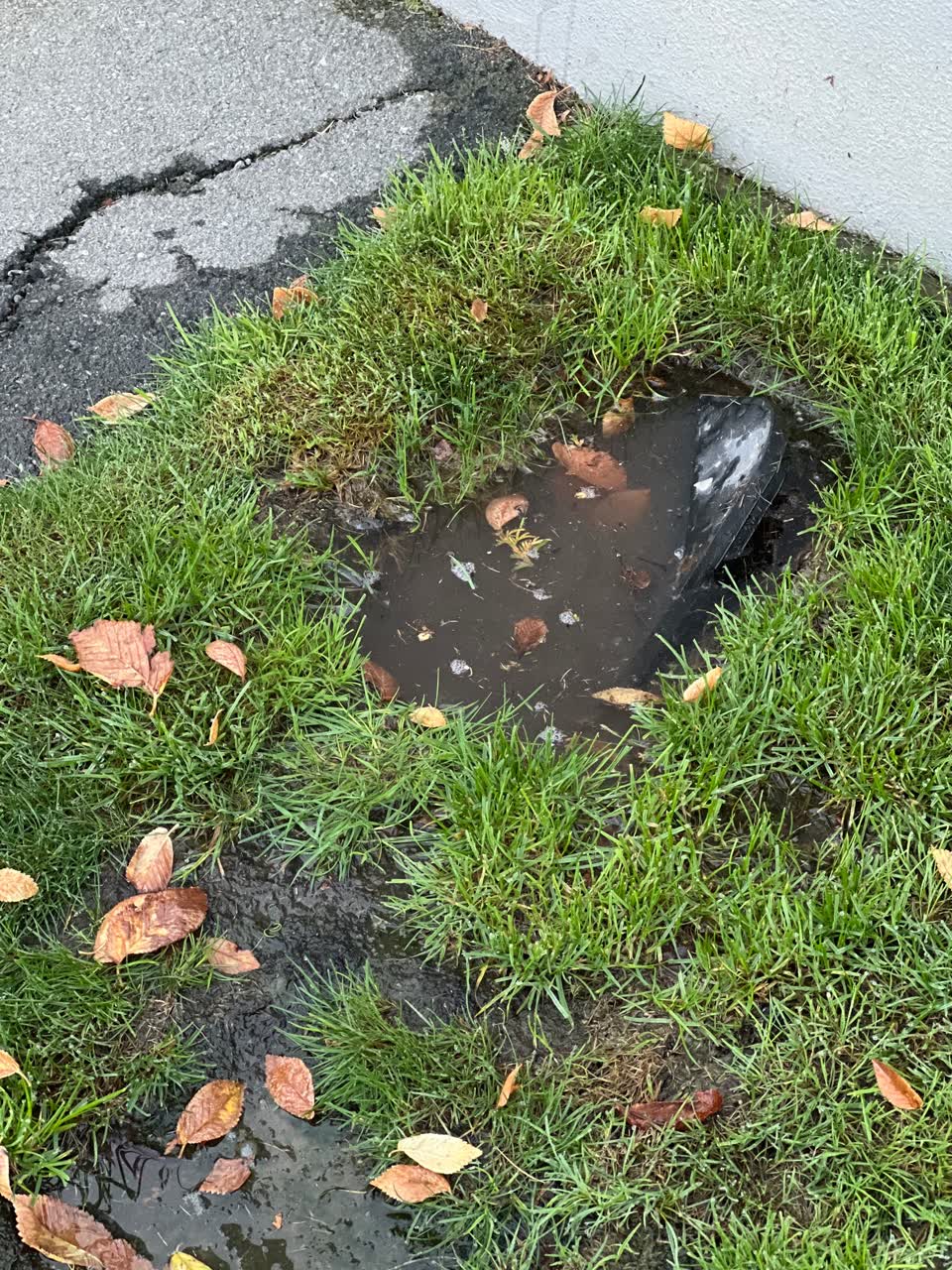 The photograph attached to this water leak report
