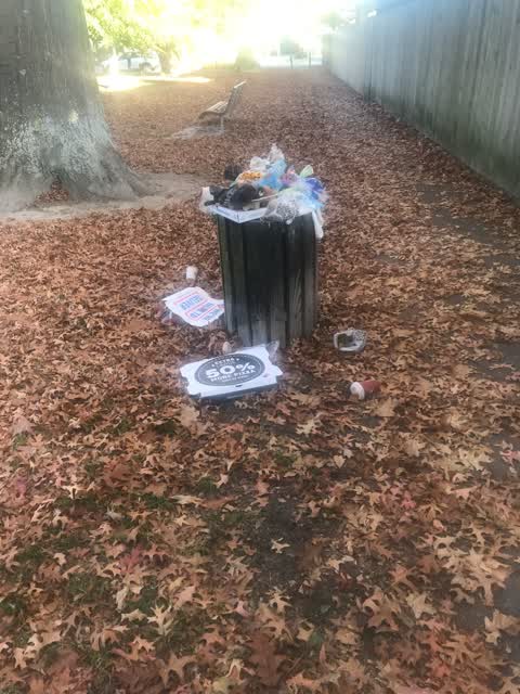 Parks — a report photo