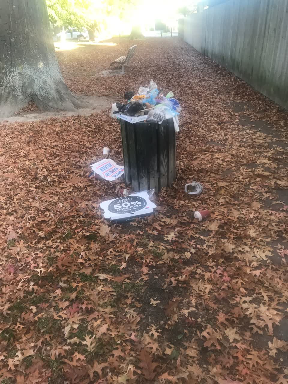 The photograph attached to this parks report