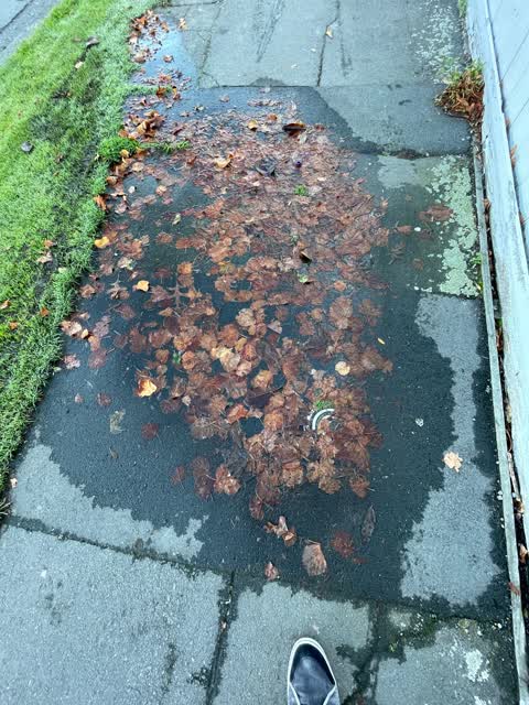 Water Leak, a report photo