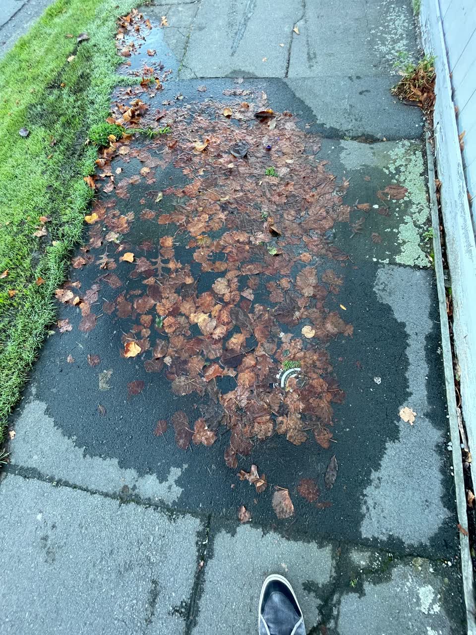 The photograph attached to this water leak report
