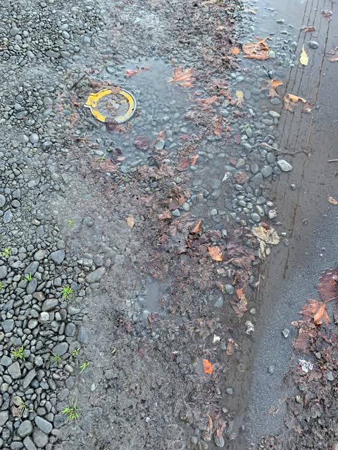 Water Leak, a report photo