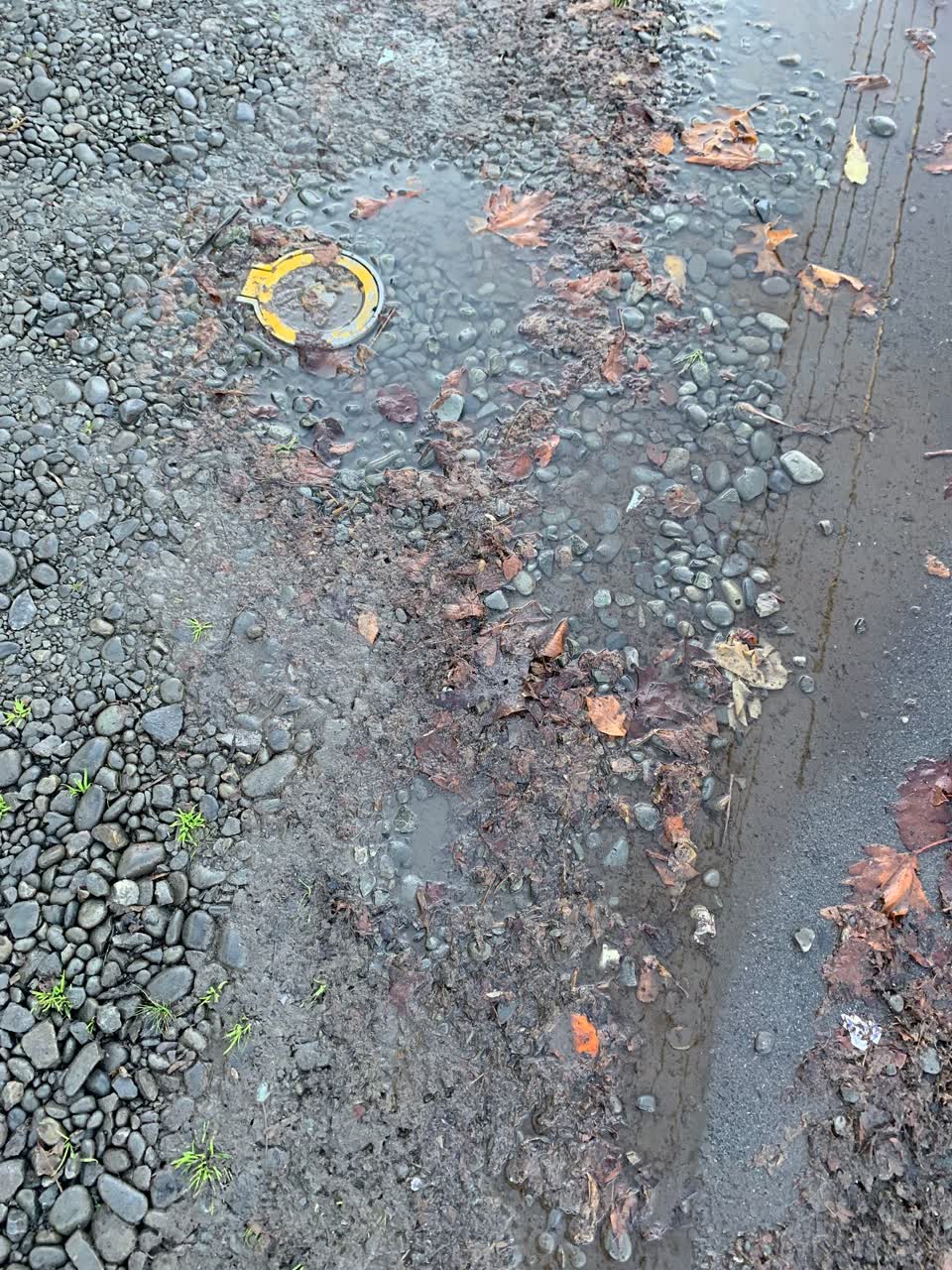 The photograph attached to this water leak report