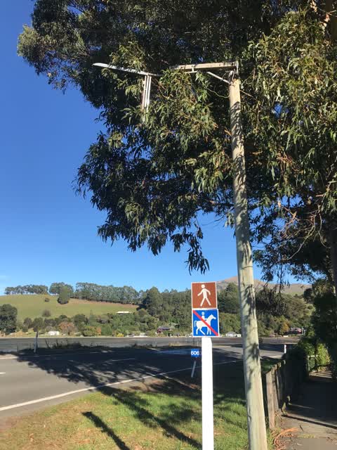 Street Light Outage, a report photo