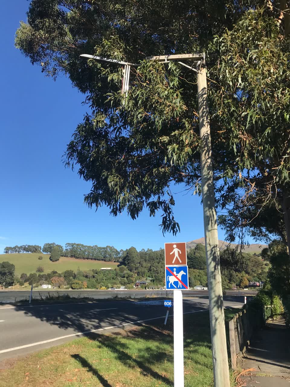 The photograph attached to this street light outage report