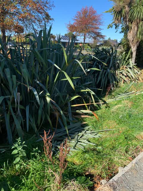 Rubbish/Recycling, a report photo