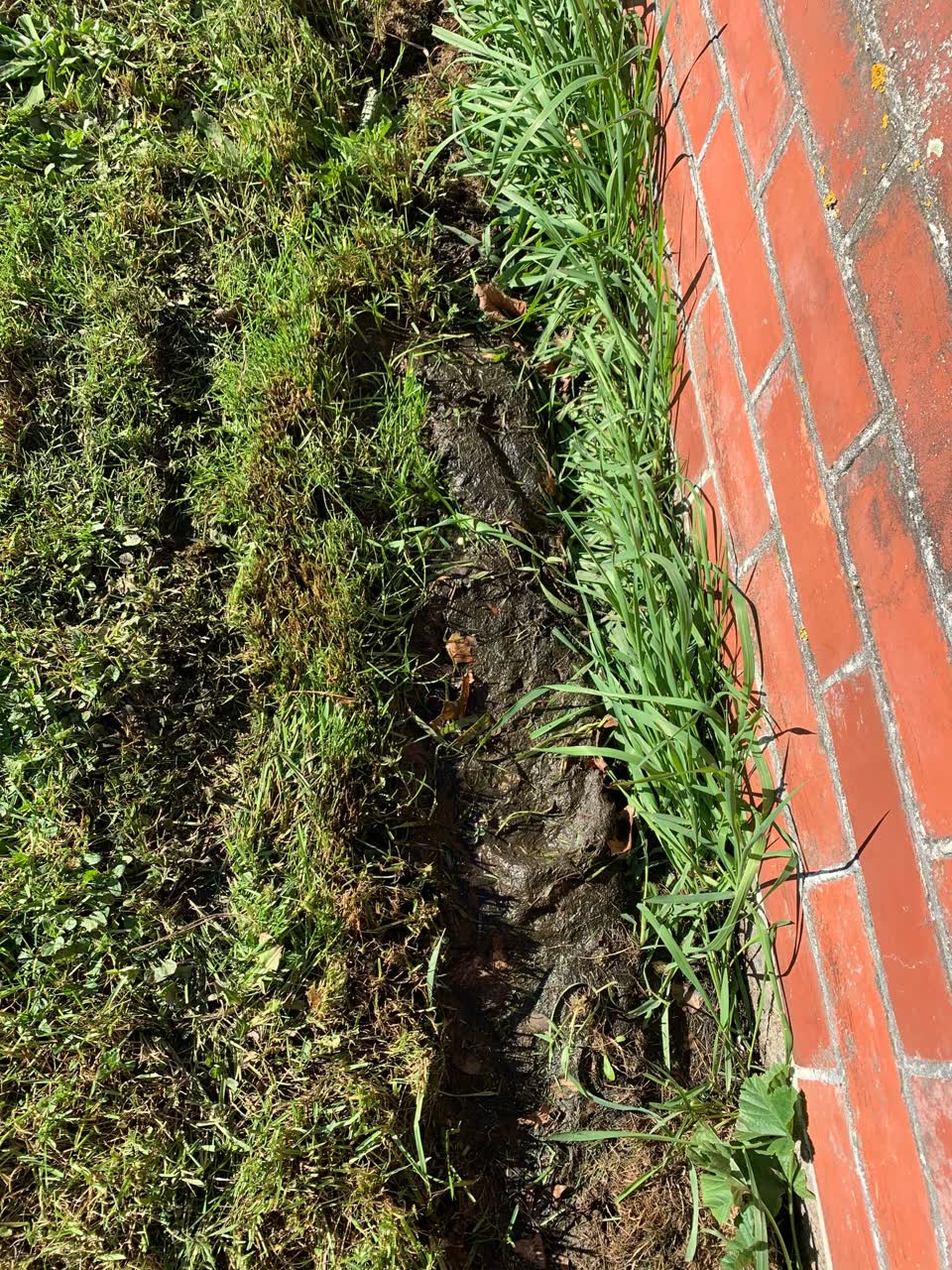 The photograph attached to this water leak report